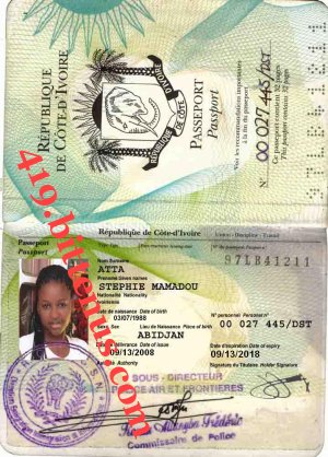 My International Passport